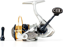 Ryuji Fishing Reel for Eging, Spinning, Light Spinning and Vertical
