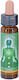 Crystal Herbs Αιθέριο Έλαιο 10ml