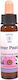 Crystal Herbs Αιθέριο Έλαιο 10ml