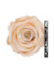 Konservierte Rosen 70cm Stiel Champagner 01