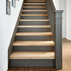 Vidaxl Treppenmatten 2 Stk. 70x30x2 cm Rohes Ma...