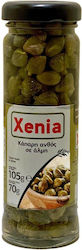 Xenia Κάπαρη Άνθος