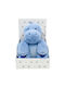 Dimcol Blanket Nursery Swaddling Blankets Fleece Blue with Animal Dinosaur 01 75x90cm 2pcs