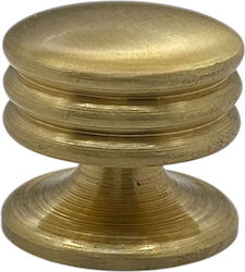 A-Lock Knob Furniture made of Metallic Gold 90.07.302 1pcs