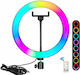 Light B53477C2821C Ringlicht 26cm mit Handyhalter
