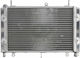4ride Water Radiator Yamaha Fzs 1000 2001-2005