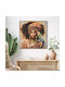 HomeMarkt Πίνακας σε Καμβά 82x82cm