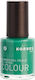 Korres Colour Гланц Лак за Нокти 93 Emerald