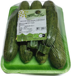 Zucchini Πράσινες Πιπερίες Domestic Organic 700gr 2701415-42