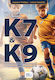 Programare anuală fotbal K7 și K9