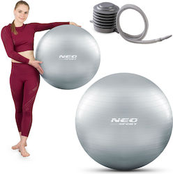 NEO Sport Μπάλα Pilates 65cm σε Ασημί Χρώμα