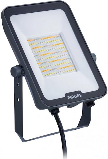 Philips Στεγανός Προβολέας LED 50W Ρυθμιζόμενο Λευκό IP65