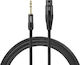 Warm Audio XLR male to XLR female 0.9m Cable (APA2024-01501)
