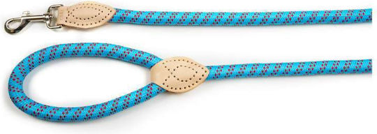 Glee Dog Leash/Lead Strap in Light Blue color