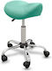 Rolling Stool for Massage Bed Aesthetic Hair Salon Pony Green