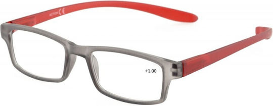 MONDE Ochelari de citit +2.50 în culoarea Gri 1036C4GR2500