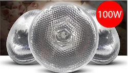 Bec Termic Bongbada Alb 100 Watt Din Sticlă Presată