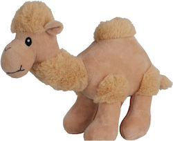 Koopman Camel 20 cm. Koopman Camel 20 cm.