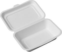 Ready Disposable Sugar Cane Box Clamshell container