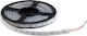 Elmark Wasserdicht LED-Streifen 24V Warmes Weiß Licht 1m Typ SMD5050