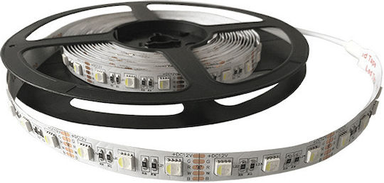 Elmark Ταινία LED 12V RGBW Φως 5m Τύπου SMD5050