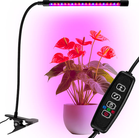 Jumi Επιτραπέζιο Grow Light με LED και Ισχύ 9W Μ7xΒ12εκ.