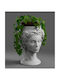 Medussa Gorgon Planter Grey Marble