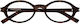 Ysl Acetate Brown Tortoise Frame