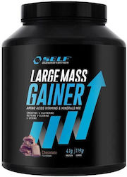 Self Omninutrition Large Mass Gainer 2kg