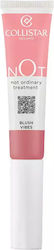 Collistar Blush 02-frozen Raspberry Collistar Blush 02-frozen Raspberry