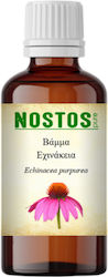 Nostos Pure Tincture Echinacea 30ml