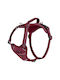 Halti Hundegeschirr Harness Lila X-klein 47110A