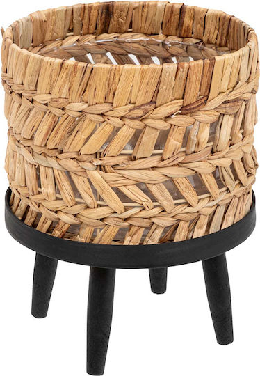 Plant Pot Wooden Beige