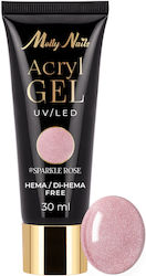 Molly Lac Gel Champagne Glow 30ml