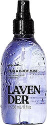 Victoria's Secret Body & Hair Mist Lavender 236ml