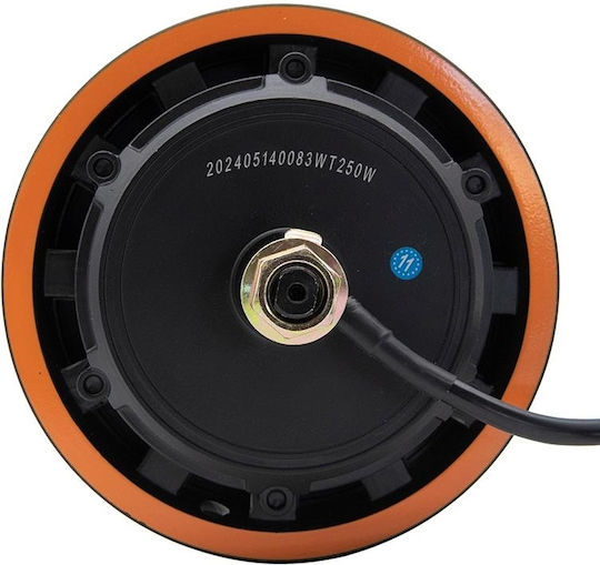 Motor Original Kugoo Kirin 48v 1000w 6/b34 G2 Max