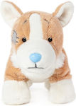 Plush Mbnf Corgi Ap473041