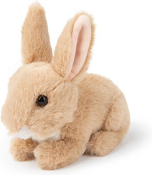 WWF Plüsch Eco Beige Hase 15 cm #15182013 WWF Plüsch Eco Beige Hase 15 cm #15182013