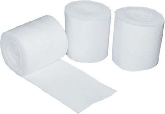 Orthopädischer Verband Orthoban 10 x 270 cm