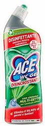 Ace Reinigungsgel Toilette 700ml