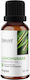 OstroVit Ätherisches Öl Zitronengras 15ml
