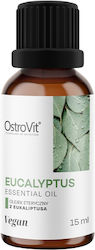 OstroVit Αιθέριο Έλαιο Ευκάλυπτος 15ml OstroVit Αιθέριο Έλαιο Ευκάλυπτος 15ml