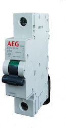 AEG Automatic Circuit Breaker 25A 01-552619