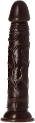 Toyz4lovers Amedeo Ρεαλιστικό Dildo με Βεντούζα Καφέ 19cm