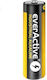 everActive Алкална Батерия AA 1.5V 1бр