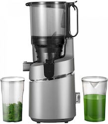 Amzchef Entsafter 250W Grauer SJ-036-GA