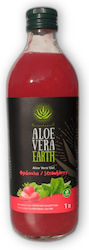 Aloe Vera Earth Αλόη 1000ml Φράουλα Aloe Vera Earth Αλόη 1000ml Φράουλα
