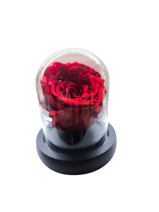 Eternal Rose Red 7cm