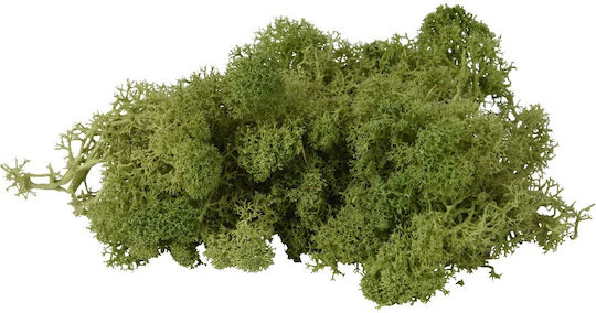 Decorative Moss Mat Green Pack 50g Kaemingk 707409