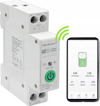 Qoltec WiFi Panel Push Switch 63A